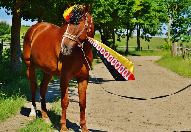 开感谢了勒 开感谢了勒