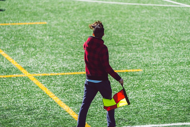 并对项目资 并对项目资